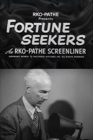 Fortune Seekers's poster