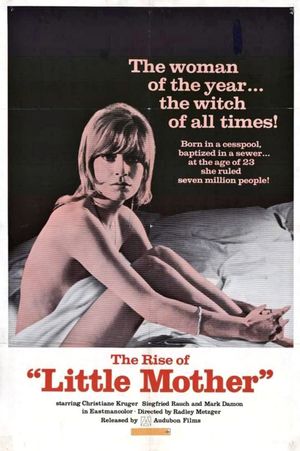 Woman of the Year's poster