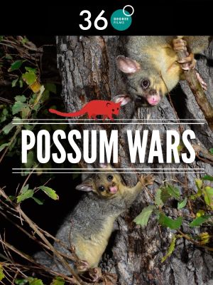 Possum Wars's poster