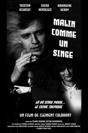 Malin comme un singe's poster