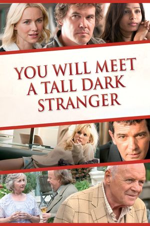 You Will Meet a Tall Dark Stranger's poster