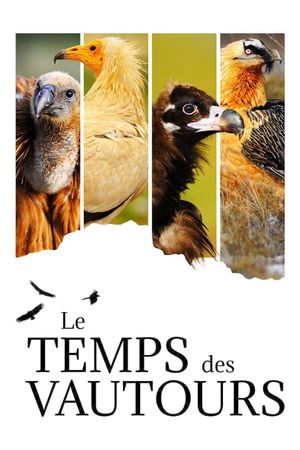 Le Temps des vautours's poster