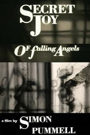 Secret Joy of Falling Angels's poster