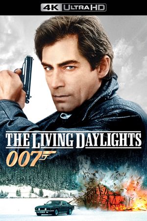 The Living Daylights's poster