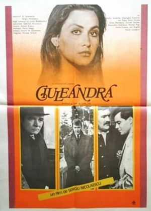 Ciuleandra's poster