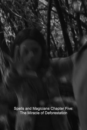 Spells and Magicians Chapter Five: The Miracle of Deforestation's poster