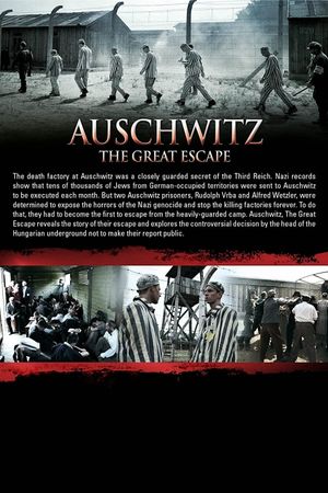 Auschwitz: The Great Escape's poster