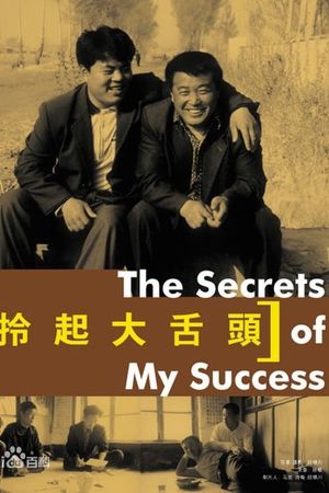 Interesting Times: The Secret of My Success's poster