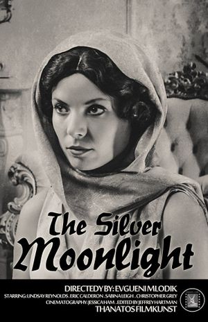 The Silver Moonlight's poster