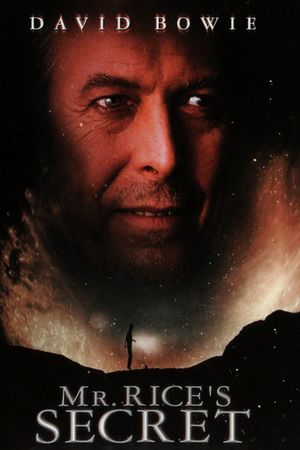 Mr. Rice's Secret's poster
