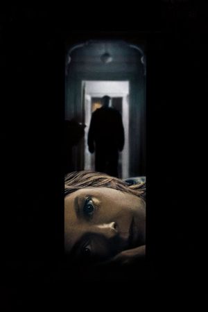 Panic Room's poster