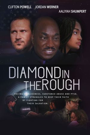 Diamond in the Rough's poster