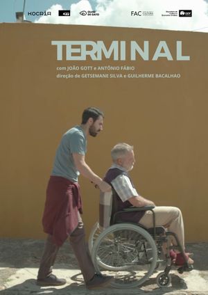 Terminal's poster