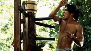 Dragon: The Bruce Lee Story's poster