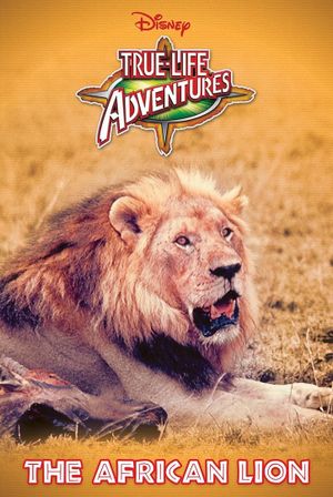 The African Lion's poster image