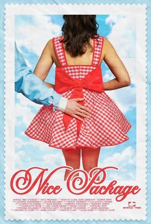 Nice Package's poster