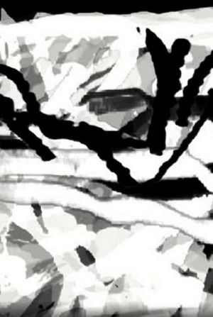 Variations on Two Photographs of Tina Modotti's poster