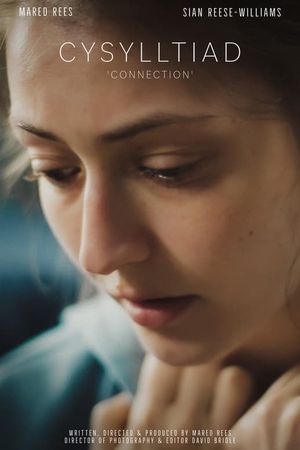 Connection's poster