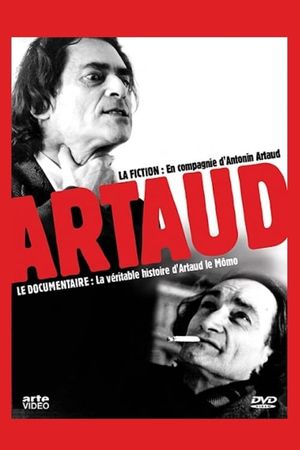 La véritable histoire d'Artaud le momo's poster
