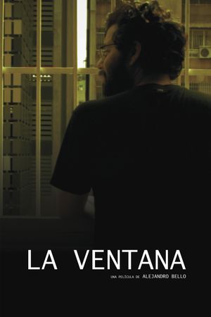The Window's poster