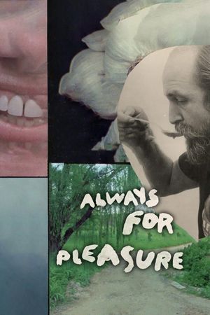Always for Pleasure's poster