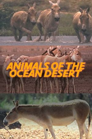 Animals of the Ocean Desert's poster