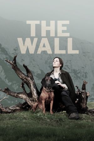 The Wall's poster