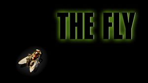 The Fly's poster