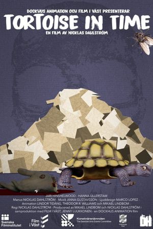 Tortoise in Time's poster image