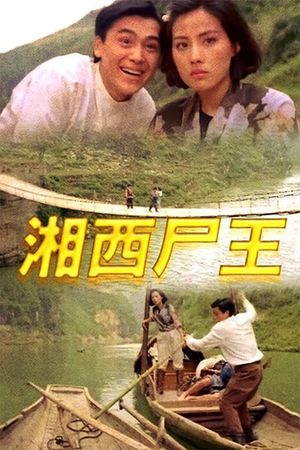 Kung Fu Vampire's poster