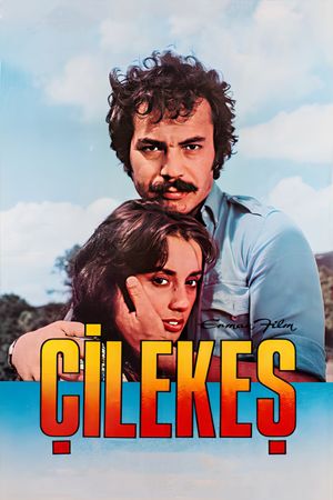 Çilekes's poster