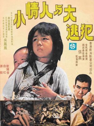 Xiao qing ren yu dai tao fan's poster