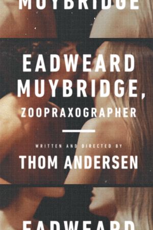 Eadweard Muybridge, Zoopraxographer's poster