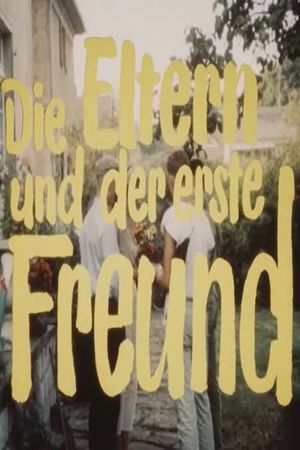 Die Eltern und der erste Freund's poster