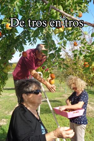 De tros en tros's poster