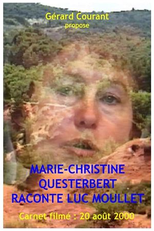 Marie-Christine Questerbert raconte Luc Moullet's poster