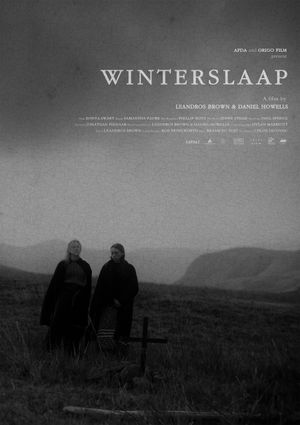Hibernation's poster