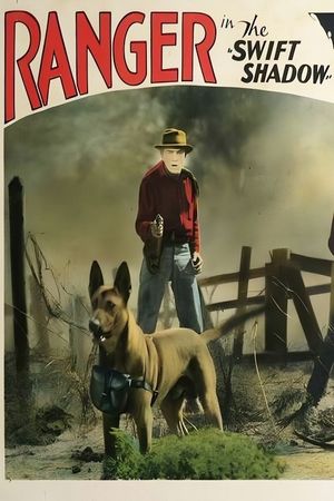 The Swift Shadow's poster