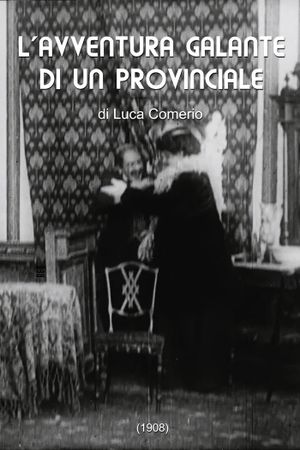 The Gallant Adventure of a Provincial's poster