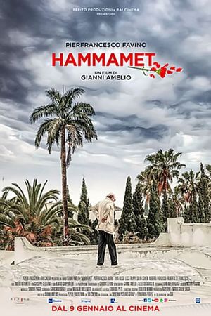 Hammamet's poster