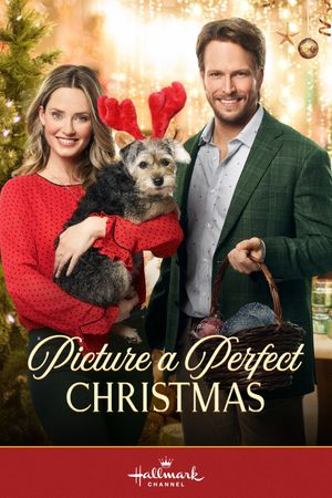 Picture a Perfect Christmas's poster