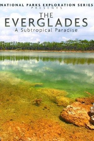 National Parks Exploration Series: The Everglades - A Subtropical Paradise's poster