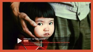 Der Vietnamkrieg - Gesichter einer Tragödie's poster