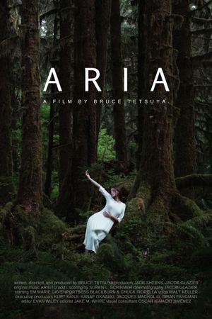 Aria's poster