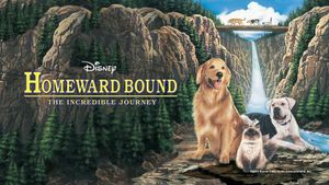 Homeward Bound: The Incredible Journey's poster