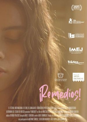 ¡Remedios!'s poster