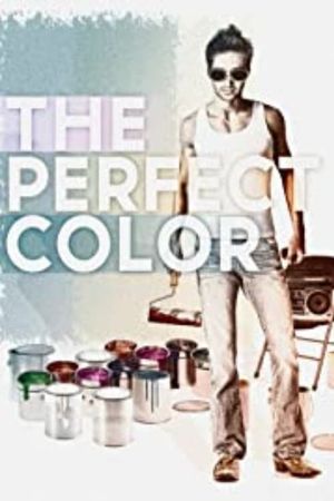 The Perfect Color's poster