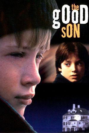 The Good Son's poster