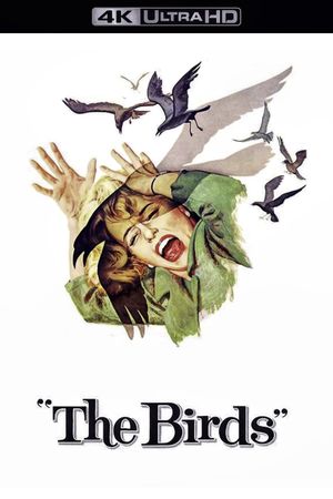 The Birds's poster