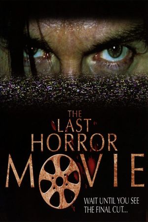 The Last Horror Movie's poster